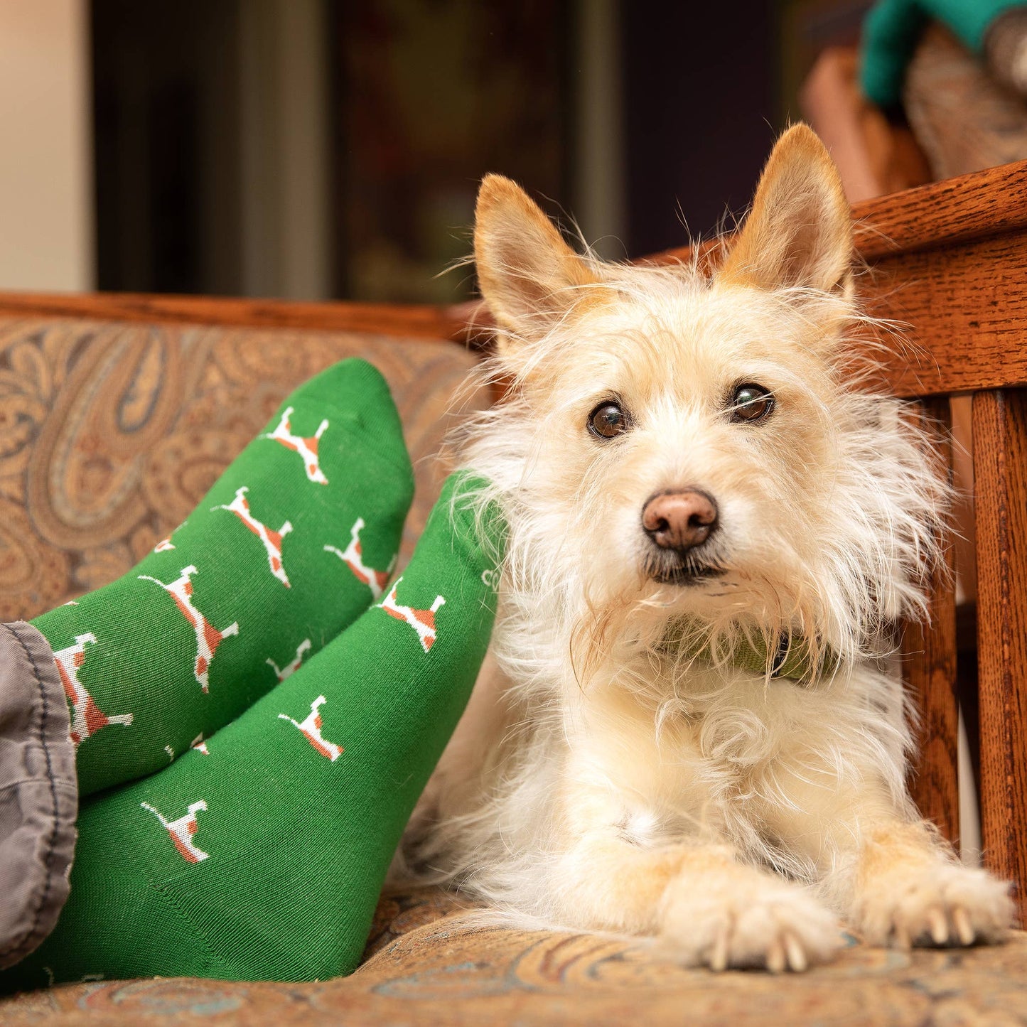 Socks that Save Dogs (Green Dogs): Small