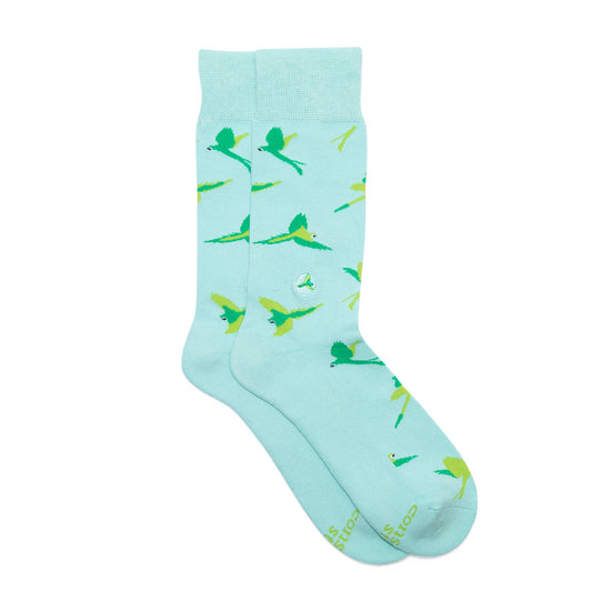 Socks that Protect Macaws: Medium