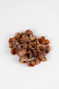 Soap Nuts in Bag