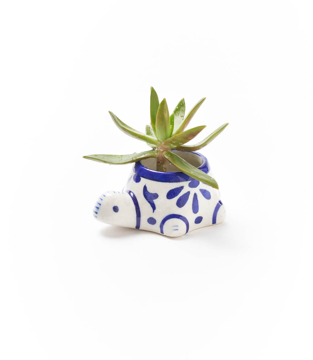 Lalita Handmade Mini Succulent Planter - White and Blue Baby Turtle